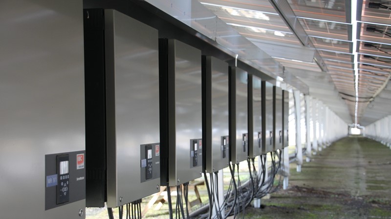 Solarpark 55483 Dickenschied Bannholz Energie-Kooperation W.Buschbaum-2